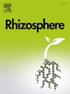 Rhizosphere