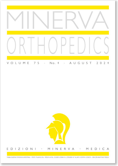 Minerva Orthopedics