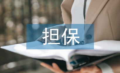 再擔(dān)保業(yè)務(wù)風(fēng)險(xiǎn)管理探析