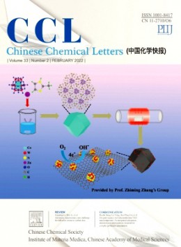 Chinese Chemical Letters