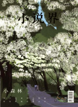 小說(shuō)界雜志